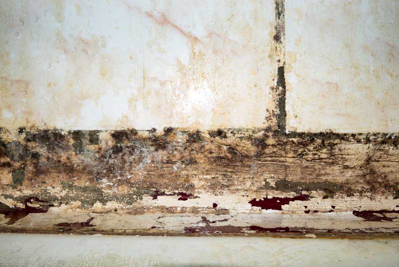 Pared con manchas de moho Pared con manchas de moho